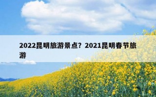 2022昆明旅游景点？2021昆明春节旅游